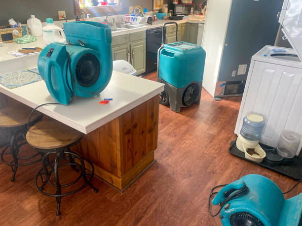 Best Water damage restoration specialists  in Driggs, ID
