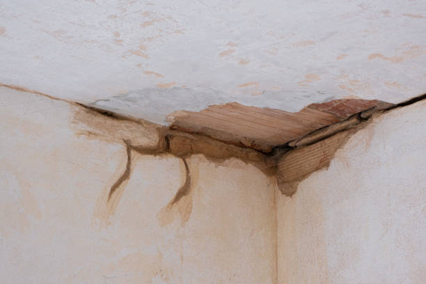Best Emergency water damage restoration  in Driggs, ID