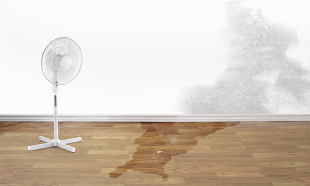 Best Residential water damage restoration  in Driggs, ID